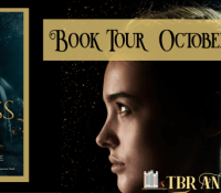 Blog Tour– The Endless Skies by Shannon Price